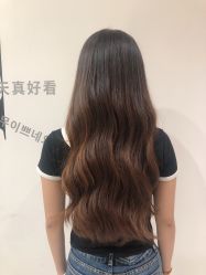 -可可丽舍