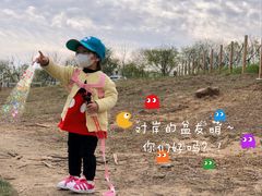 -大塘金香草谷