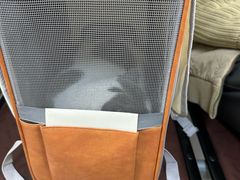 -瑞派宠物医院·24h·骨外科·皮肤科·全科宠物医疗转诊中心(沈阳浑南院)