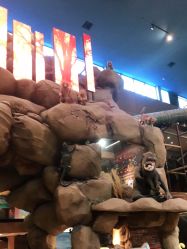 点击看大图 -卡通尼·Safari非洲探索乐园·生日会(金桥国际商业广场店)