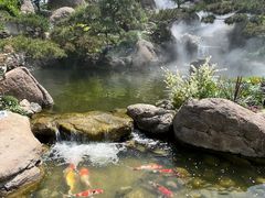 -罗红摄影艺术馆