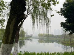 -沙湖公园