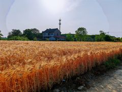 -嘉北郊野公园
