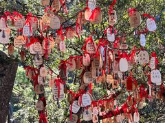 -萍乡武功山风景名胜区