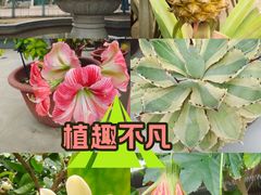 -国家植物园南园