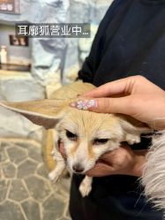 -Zoolung Zoolung动物主题公园(海信广场店)