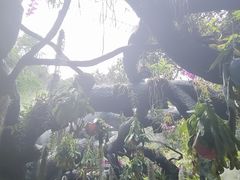 -古龙峡云天玻霸
