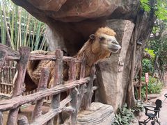 -长鹿旅游休博园