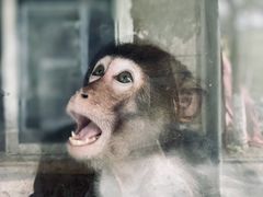 -如皋市龙游湖欢乐世界