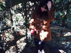 -三鹰之森吉卜力美术馆