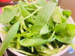 -潮盧打边炉