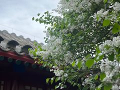 -北京鲁迅博物馆(北京新文化运动纪念馆鲁博馆区)