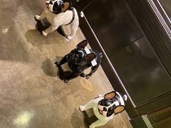 -LYFATTI 莱芙缇(赣水路店)