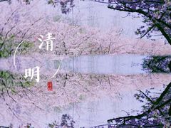 -高东镇樱花园