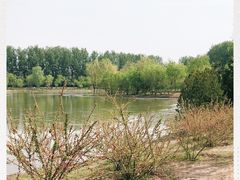 -东郊湿地公园