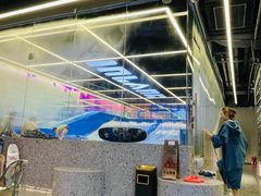 -INLANG饮浪室内冲浪(苏河湾万象天地店)