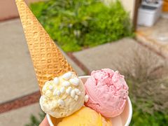 -苏小糖(鼓浪屿三丘田花园店)
