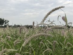 -汉长安城未央宫国家考古遗址公园