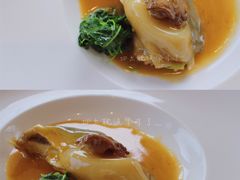 -子福慧(虹桥店)
