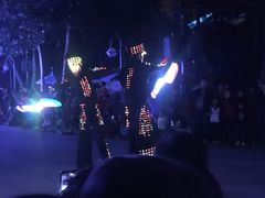 -狮子王庆典