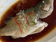 清蒸鲈鱼-眉州东坡(团结湖店)