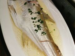 -荷塘秋月·本帮江浙菜(国权路店)