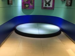 -上海昆虫博物馆