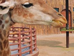 -济南野生动物世界