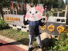 -前小桔亲子创意农场·草莓采摘·露营烧烤