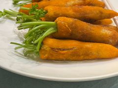 -丁老爷子苏香圆