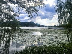 -鸣鹤古镇
