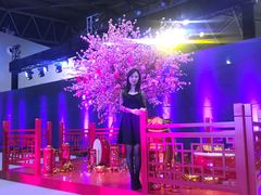 -东浩兰生上海世博展览馆