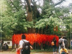 -西湖风景区十里琅珰-五云山