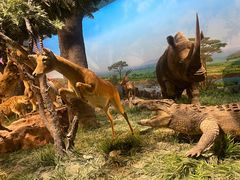 -国家自然博物馆