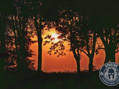 -春花秋色城市公园