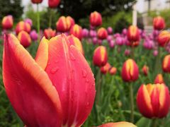 -长春公园(普阳街道)