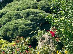 -浙江西子宾馆·瑶园咖啡厅