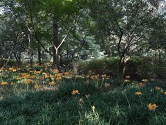 -杭州植物园