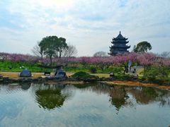 -上海海湾国家森林公园