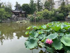 -郑和公园