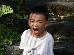 -新加坡飞禽公园