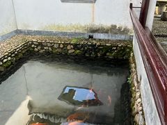 -仙霞关景区