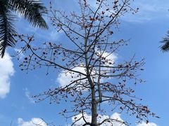 -光明小镇欢乐田园