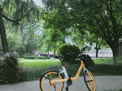 -成都市活水公园