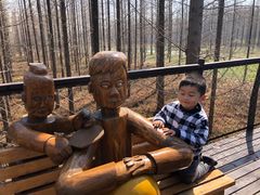 -黄海国家森林公园