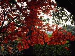 -无锡惠山寺