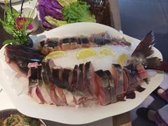 -云尊府云南菜·蒸汽石锅鱼(学清路店)