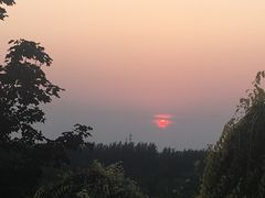 -东郊湿地公园
