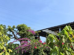 -一品烧农庄·佛山本地特色菜