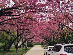 -西安理工大学(金花校区)